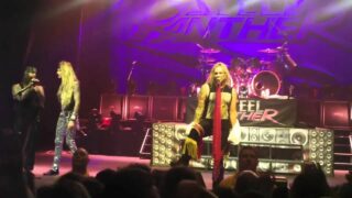 Girl flashing at a Steel Panther Concert (also at 11:30)
