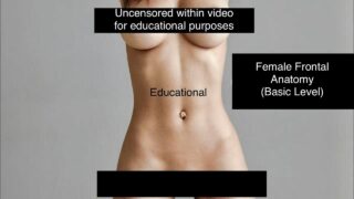 Female Frontal Anatomy – fully shown