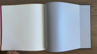 Guy flips through a book of vintage full-bush nudes