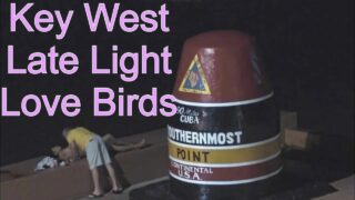 Key West – Late Night Love Birds