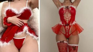 CHRISTMAS TRY ON HAUL – see through costumes