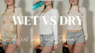 WET VS DRY shirts (Do they get transparent?)