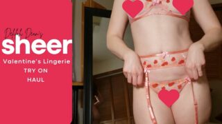 Valentine’s Sheer Lingerie Try On Haul 2024 (Delilah Dean)