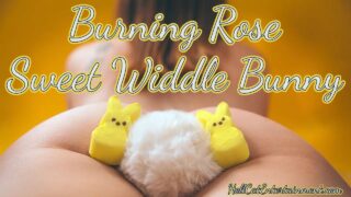 Burning Rose Nude Model – Sweet Widdle Bunny
