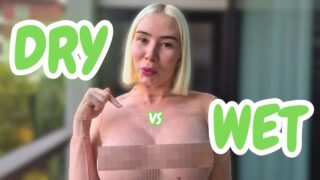 Dry vs Wet Try-on Haul with Alice Dali. Transparent Clothes Try on
