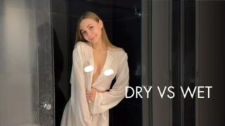 Transparent Silky Crop Top Dry vs Wet