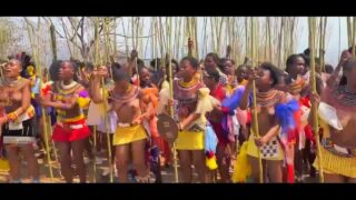 Zulu traditional songs and dance