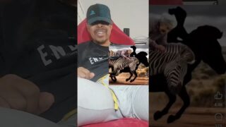 Bulge Reaction video remix family guy/ Madagascar and games