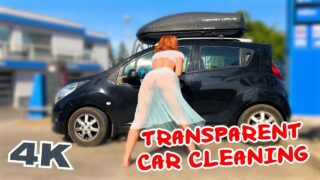 Transparent Car Cleaning 0:59