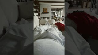 Hard-on throughout