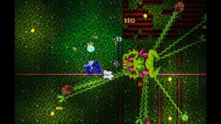 a terraria bj