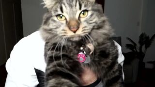 Anyone know there real channel name?