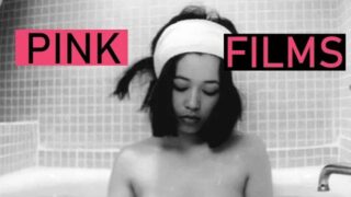 Japanese Pink Film Introduction