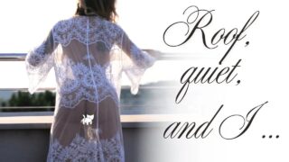 4K See-Through Gown Roof Cleaning | Clean with Joanna Rise|USA Housewife