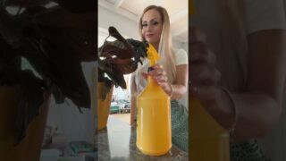 Pussy flash