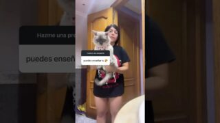 Pussy