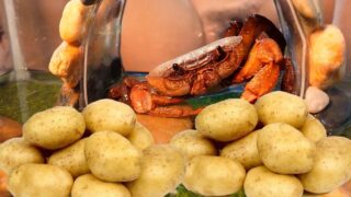 Clamp Everything: Crab Claws VS Potatoes Who Will Be The Winner?