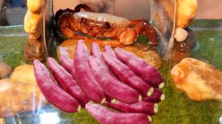 Girl Tests Crab Claw Strength To Crush Purple Potato: The Results Will Surprise You