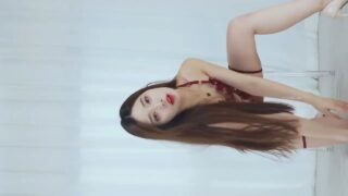 WT Dance details 6