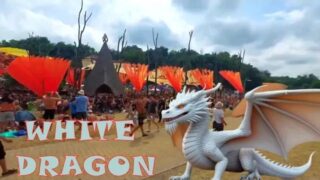 Topless hippie girls at 2:57, 18:27 and 20:32 in Ozora festival
