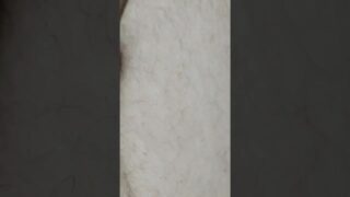 Dick slip