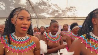 Mkabayi ka Jama ft Amakhosazana ase Moleleki(IHUBO) Whole video of naked breasts but they don’t stand up until 1:05. More on channel