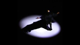 ¥$, Ye, Ty Dolla $ign – VULTURES (Juice Version) feat. Bump J & Lil Durk