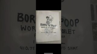 0:00 pussy reflection