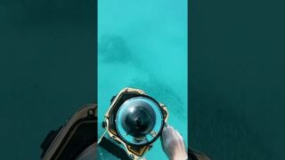 See-through clear underwater