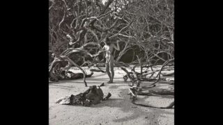 “Bulgarian Nudes” A fine art compilation inspired by the album and artists It’s A Beautiful Day (Nudes start at 0:09)
