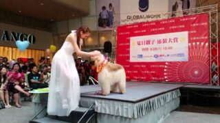 Swimwear collection China part 6 0:00